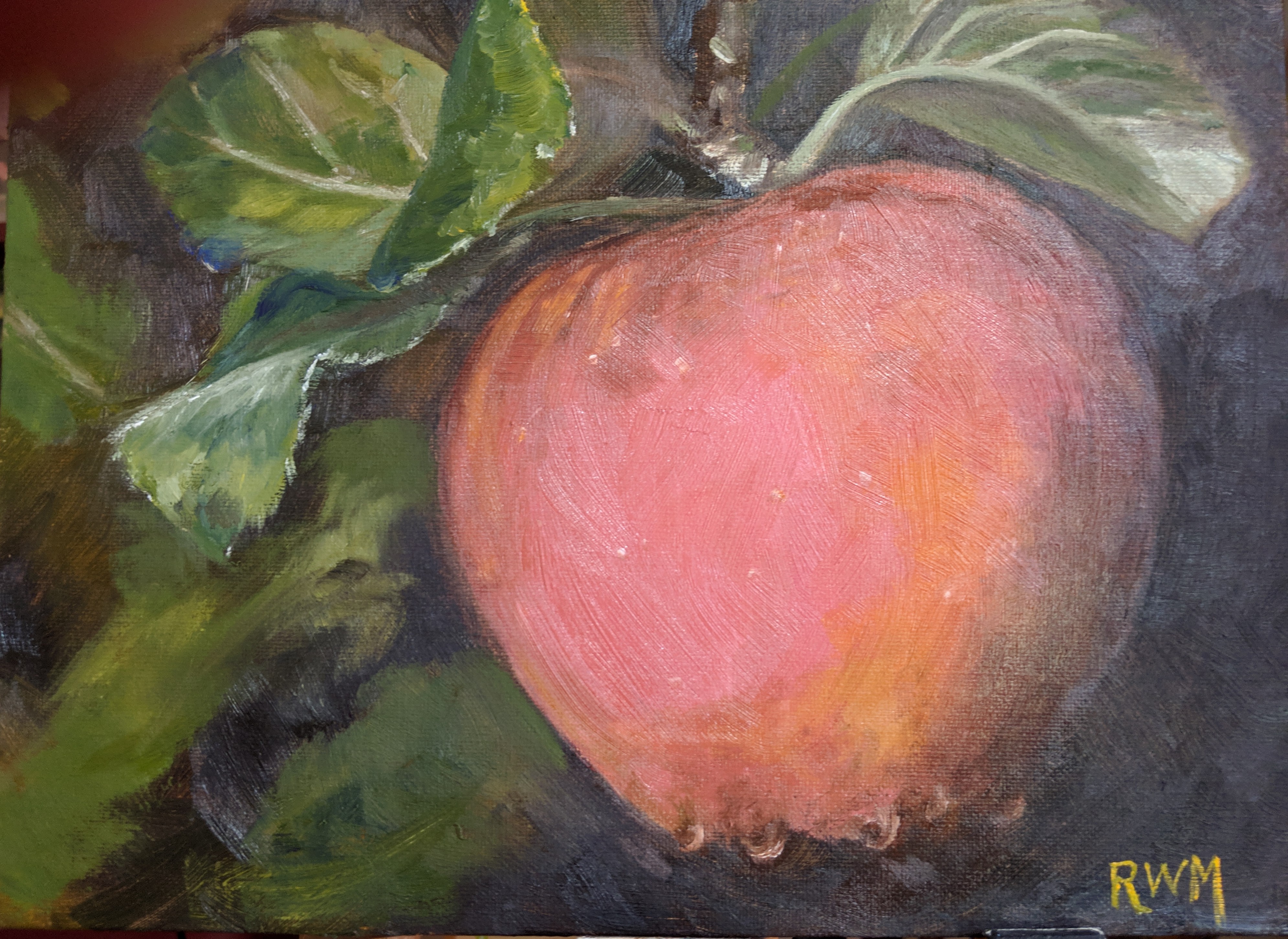apple with dew droops